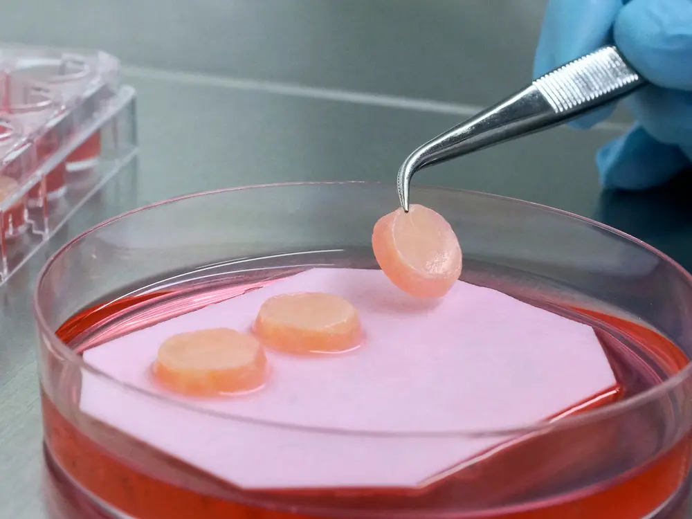 Petri dish with skin model in substance and pincers.