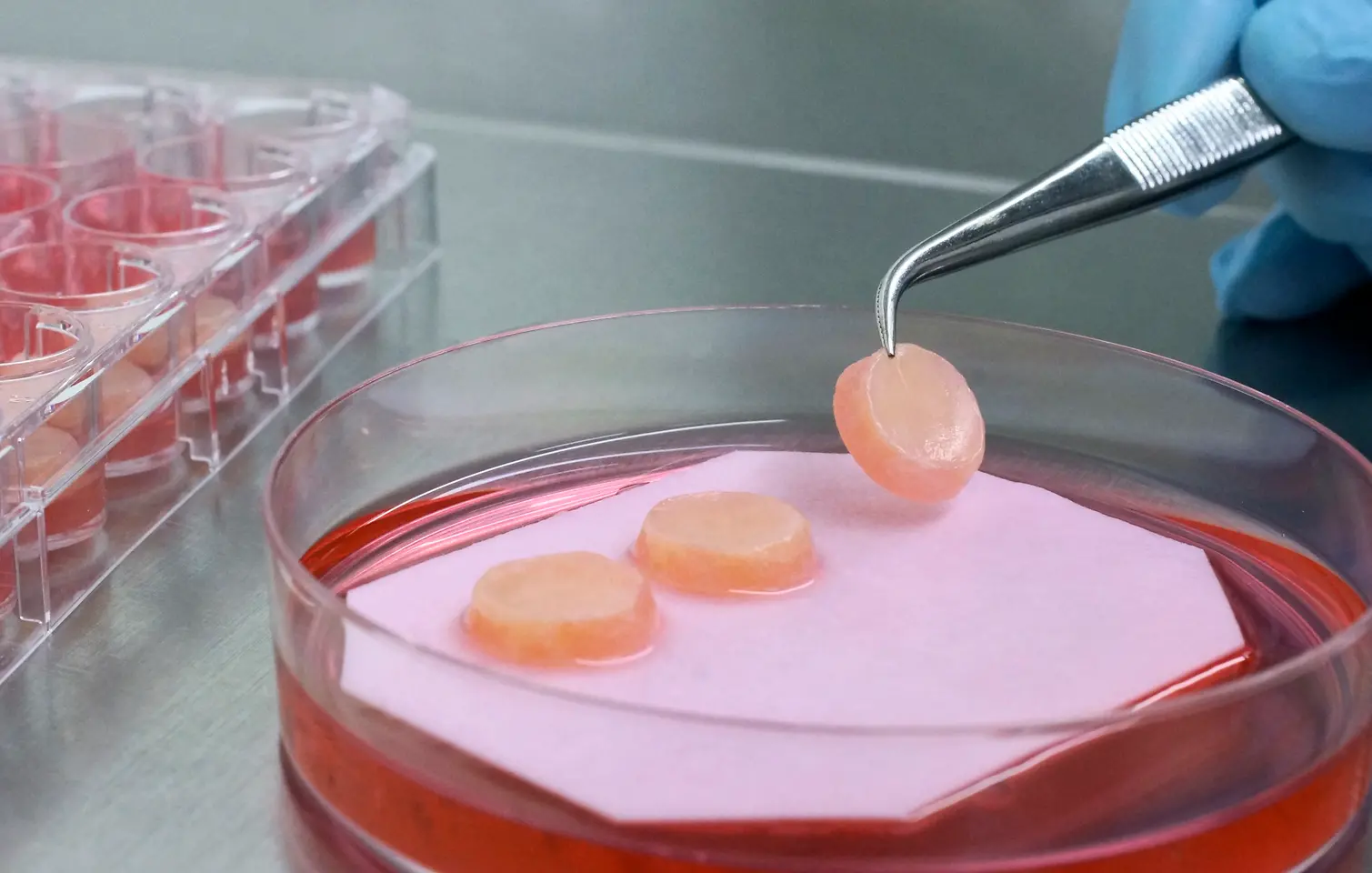 Petri dish with skin model in substance and pincers.